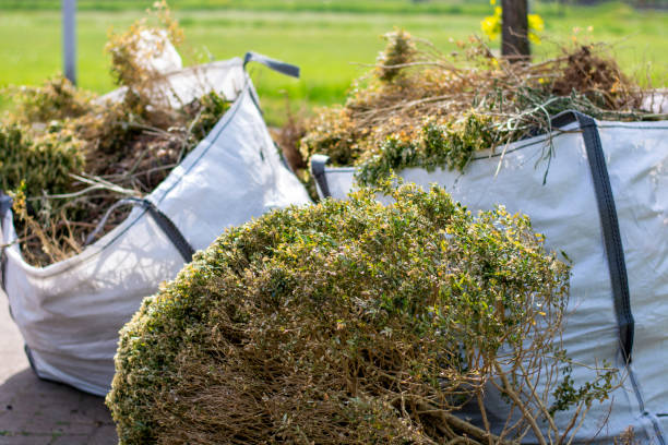Best Junk Hauling Services  in Petersburg, IN